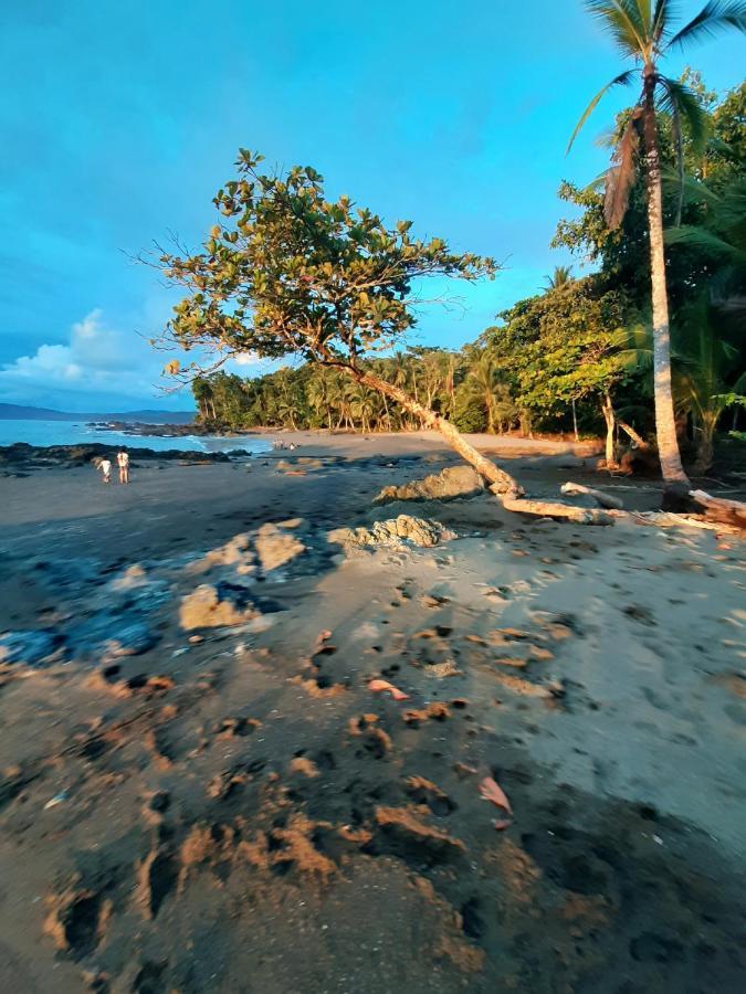 Garden Of Heliconias Lodge Драке Экстерьер фото