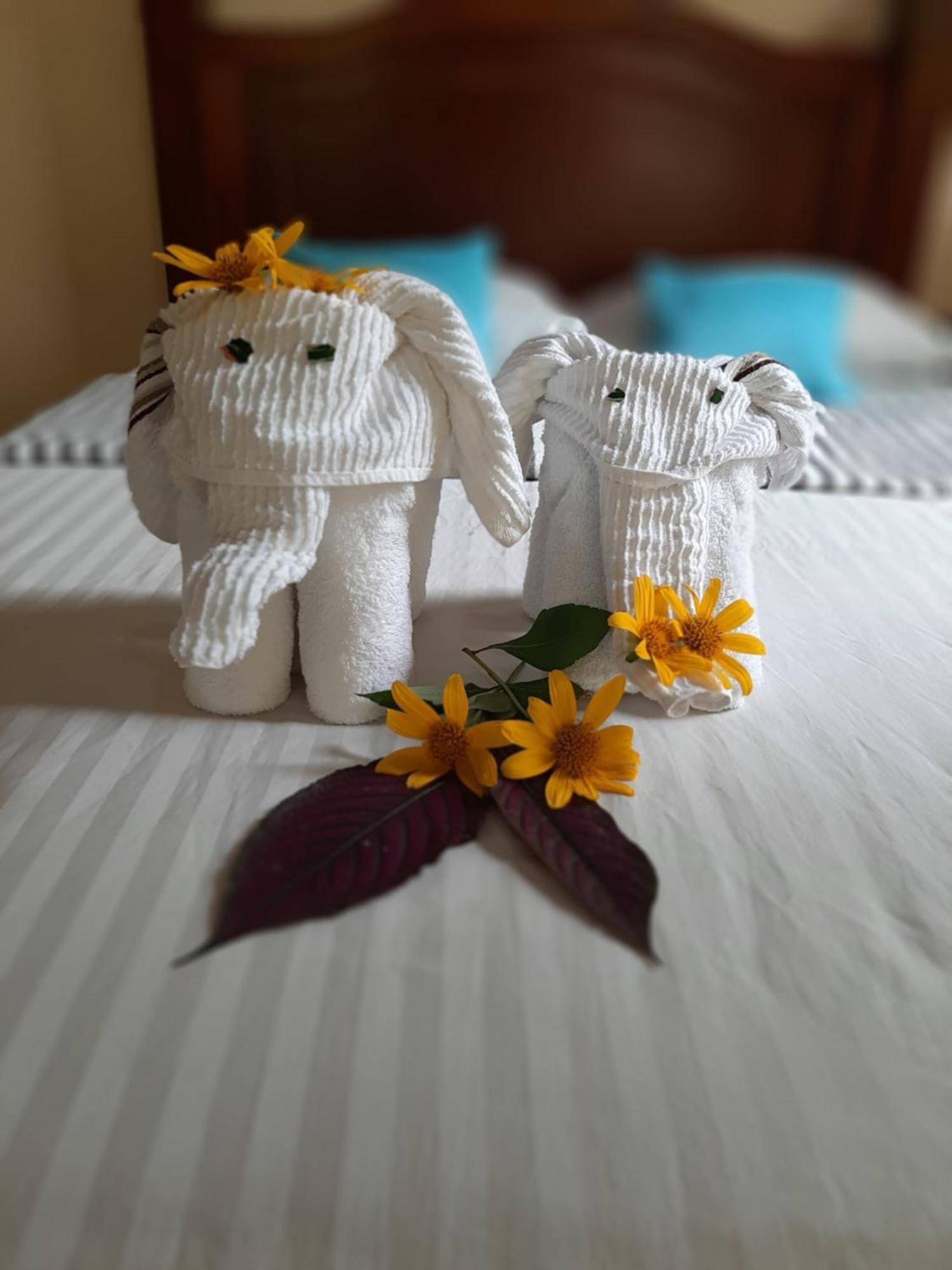 Garden Of Heliconias Lodge Драке Номер фото