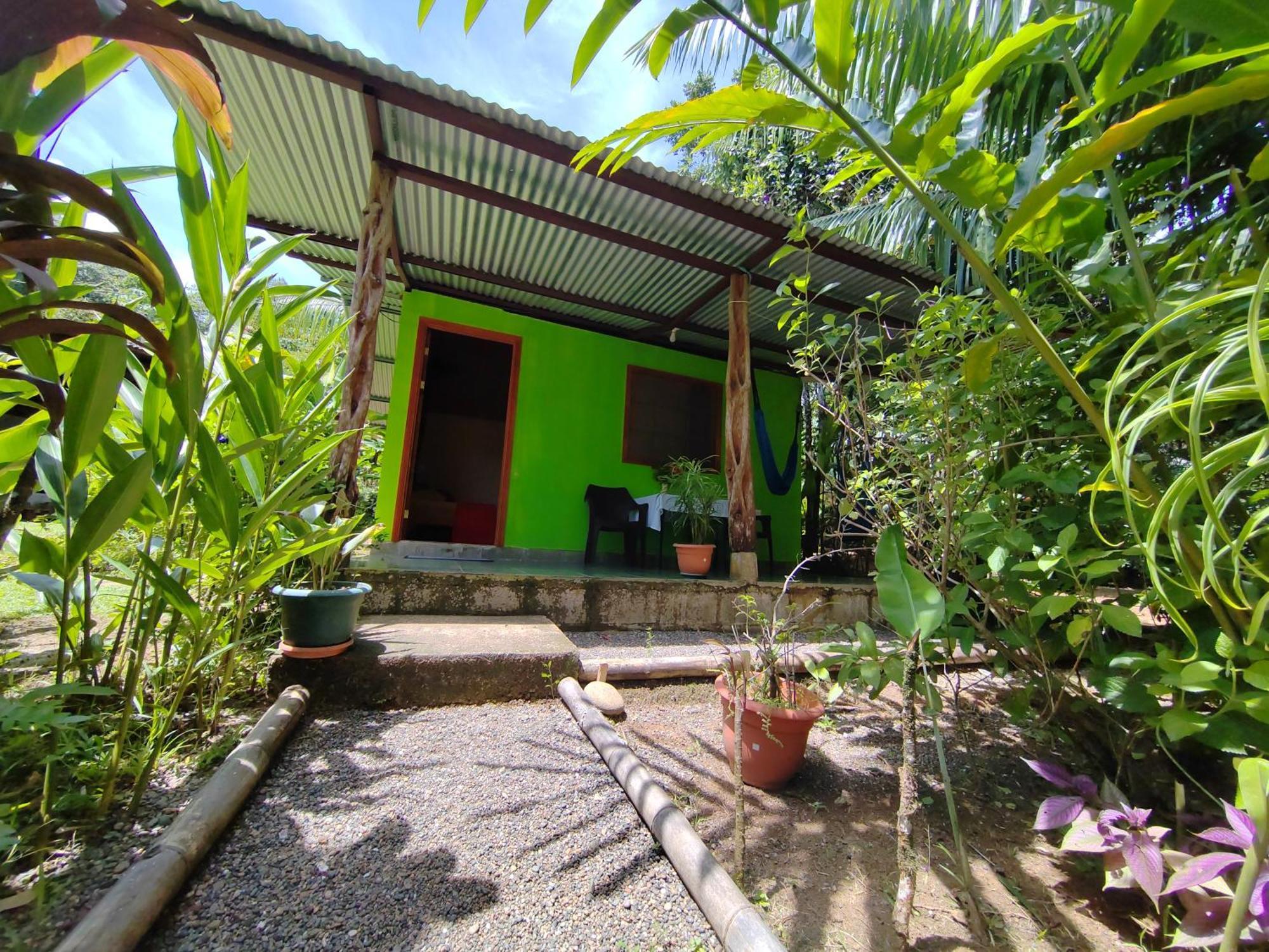 Garden Of Heliconias Lodge Драке Экстерьер фото