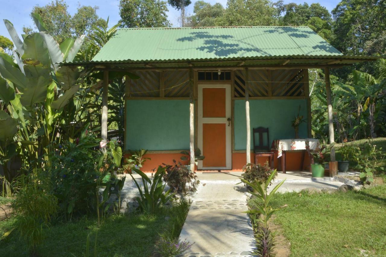 Garden Of Heliconias Lodge Драке Экстерьер фото