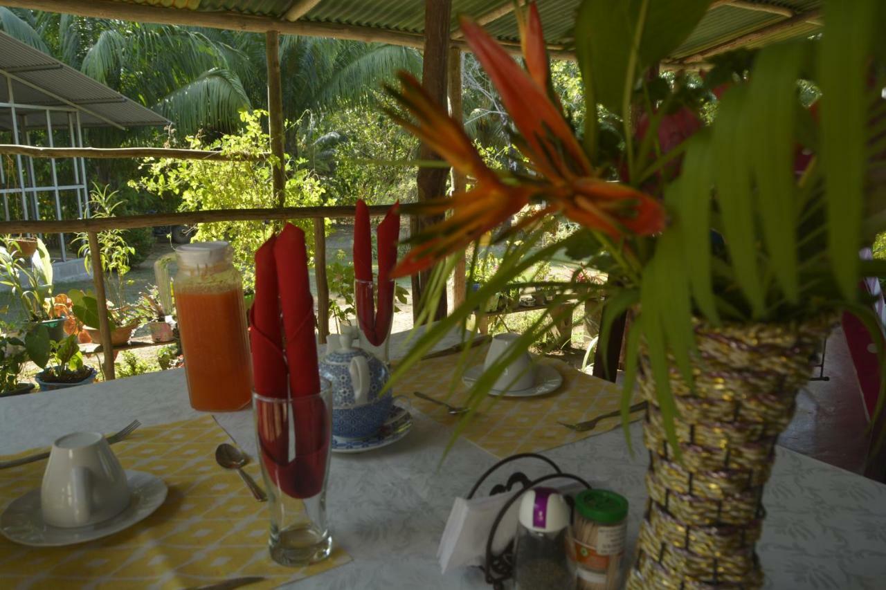 Garden Of Heliconias Lodge Драке Экстерьер фото