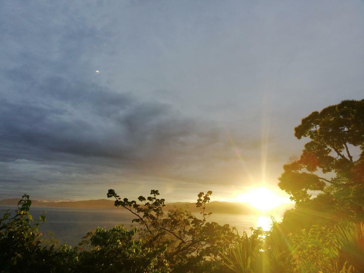Garden Of Heliconias Lodge Драке Экстерьер фото