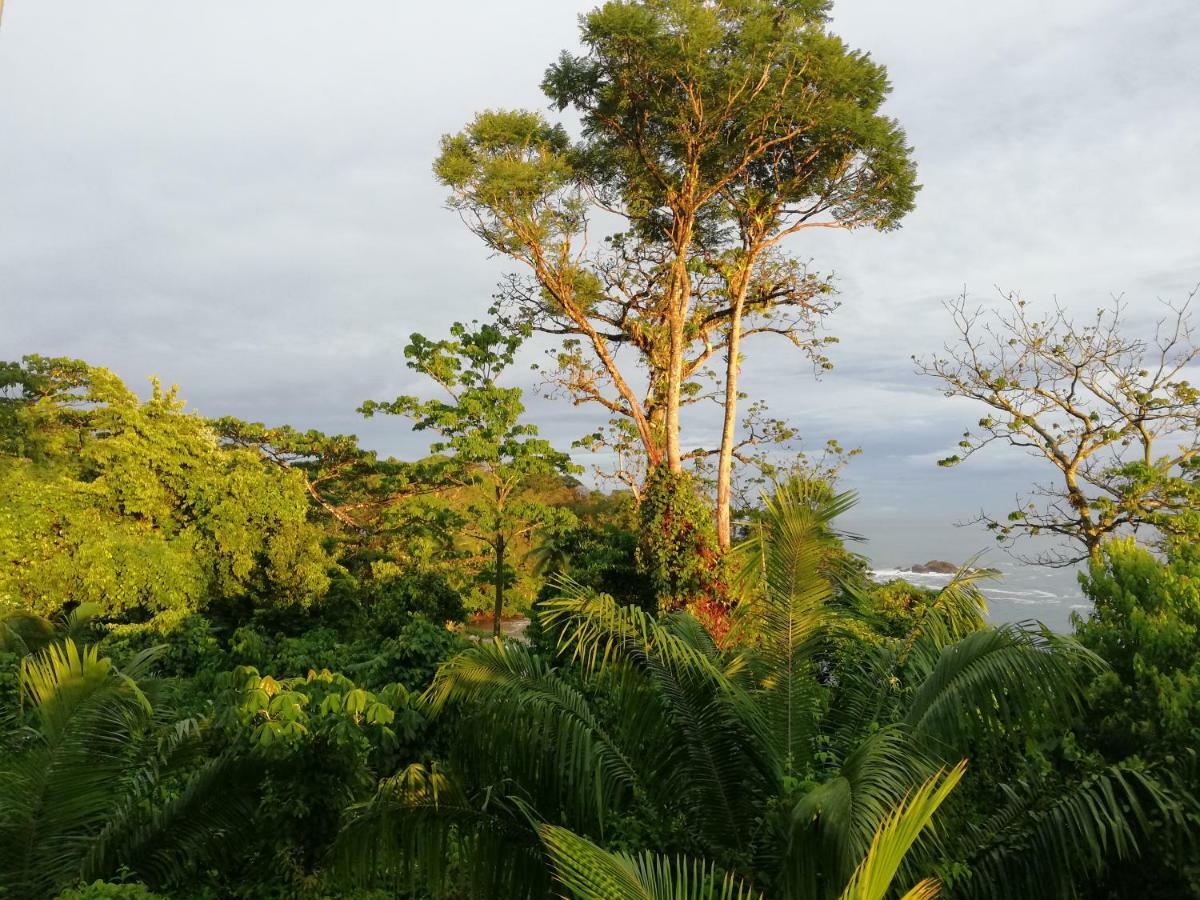 Garden Of Heliconias Lodge Драке Экстерьер фото