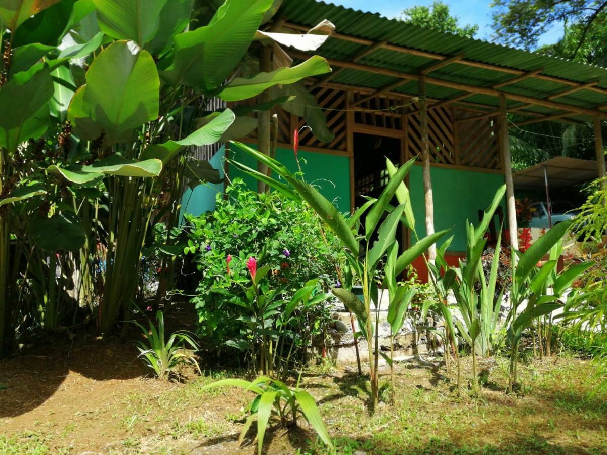 Garden Of Heliconias Lodge Драке Экстерьер фото